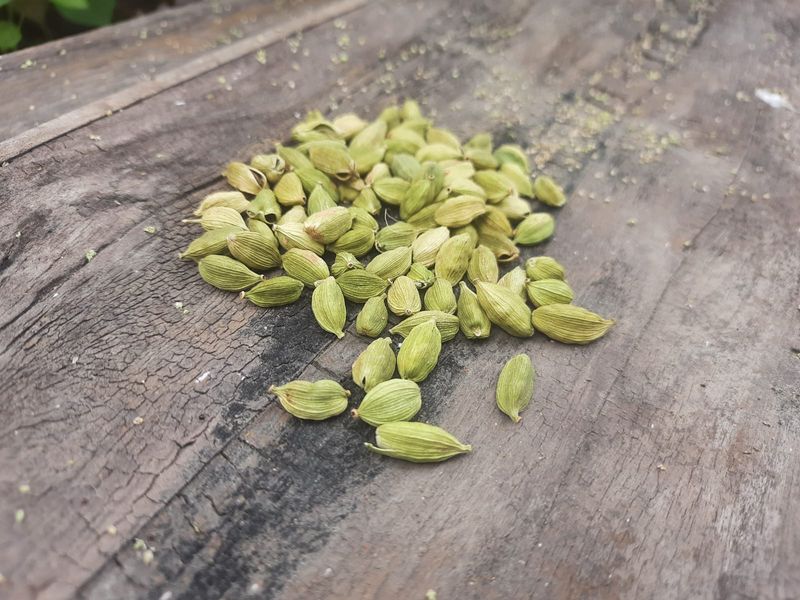 প্রিমিয়াম 9mm এলাচ