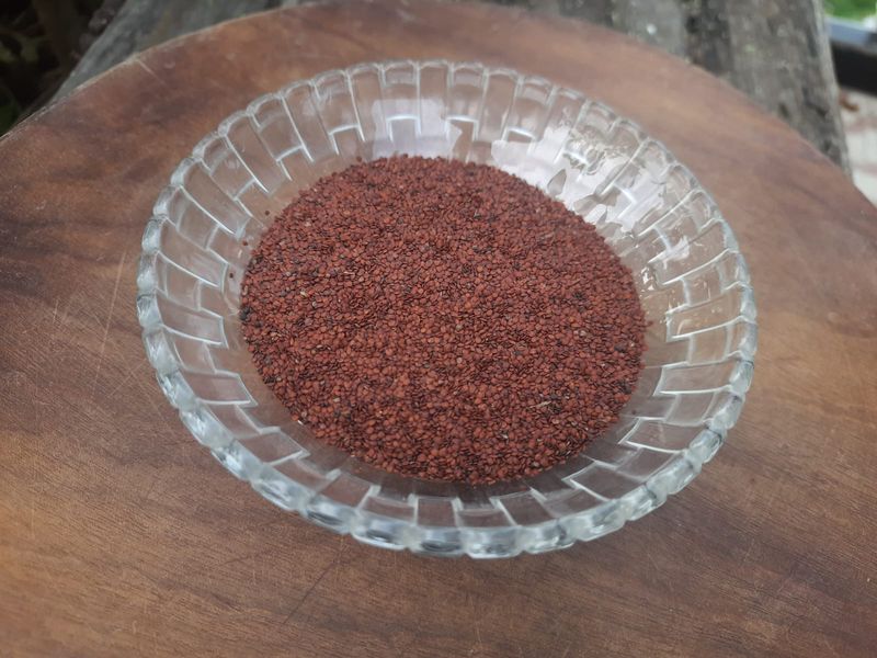 তালমাখনা