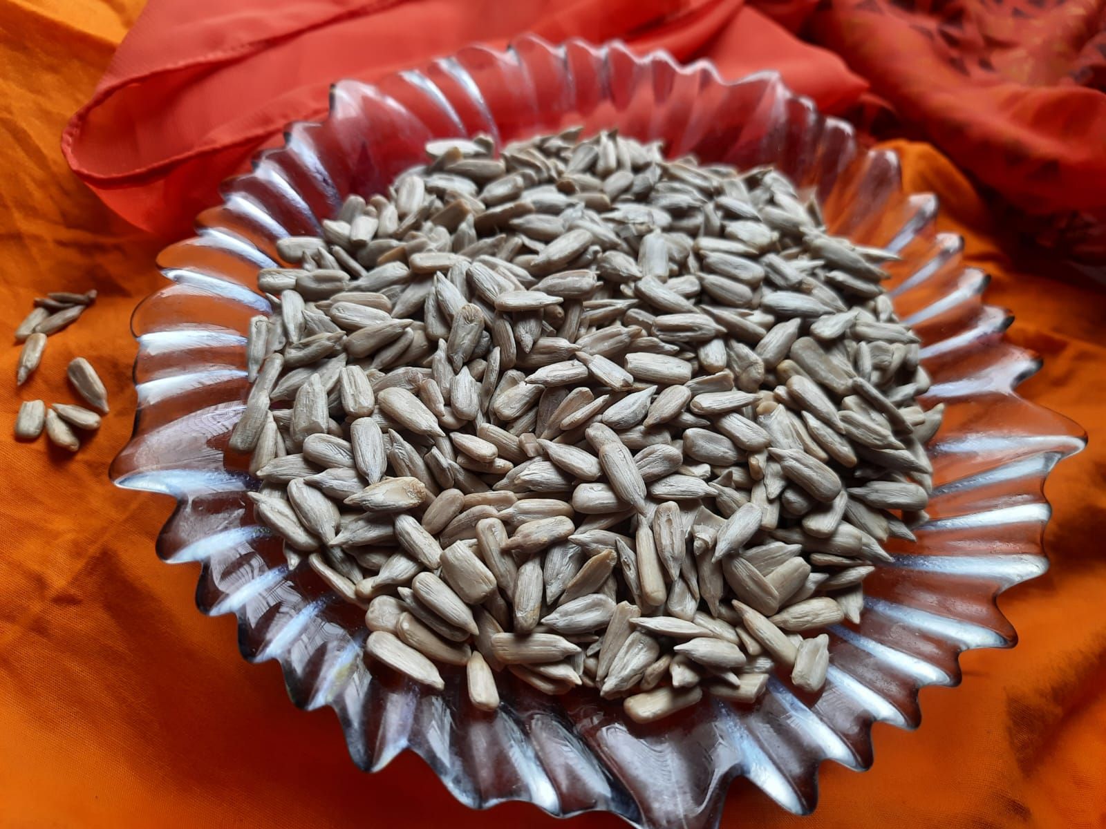 সূর্যমুখী বীজ